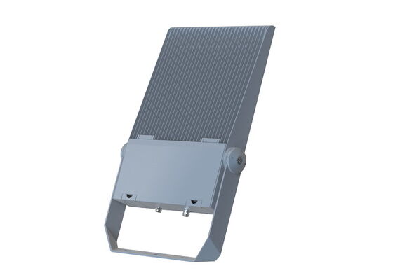 DALI-2 Class II 300W IP66 IK09 LED Flood Light Stadium Light ENEC CB SAA RETILAP Certified Outdoor Lighting 7 Years Warranty